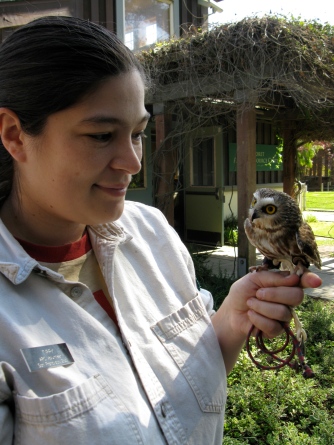 Me and Darwin, a saw-whet owl.